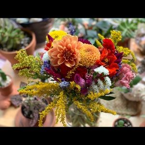 Meet your Posher, Molly